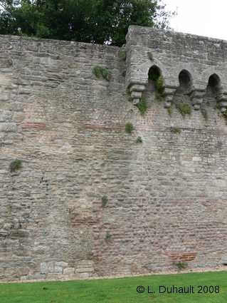 Le mur d'enceinte